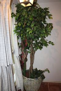 lot 120 image: Large artificial Ficus tree