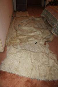 lot 124 image: Furry sheepskin type rugs assortment