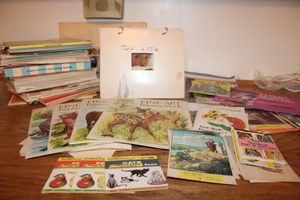 lot 143 image: Vintage teacher supplies and art books