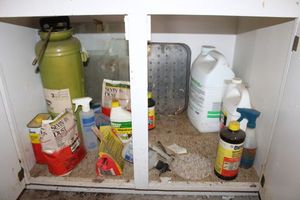 lot 450 image: Bug and weed killers with metal 3 gal. sprayer