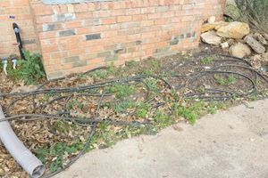 lot 597 image: Garden hoses