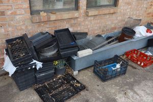 lot 591 image: Plastic planters and trays