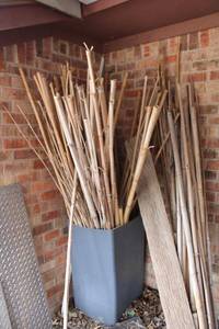 lot 550 image: Bamboo sticks