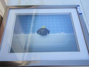 lot 199 image: 18 x 22 framed dog and duck art