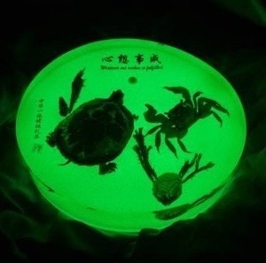 lot 68 image: Unique Glow in the dark turtle and crab home decor
