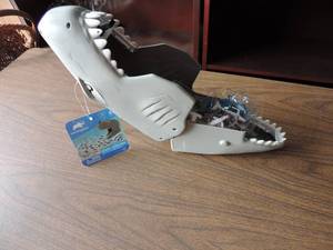 lot 481 image: Ocean collection with shark case