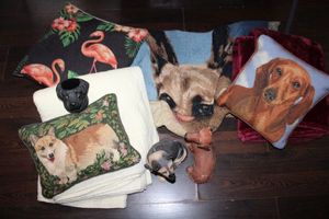 lot 174 image: Blankets and pillows, dog coin banks and plastic dog cup holder