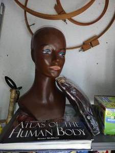 lot 557 image: Dark skin mannequin bust, anatomy book, and wig