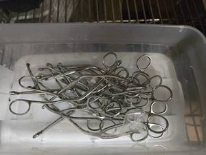 lot 167 image: Lot of Stainless Medical Pliers.  Approx 15