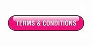 lot 6 image: TERMS & CONDITIONS