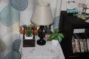 lot 365 image: Small Lamp and Air Plants With Vintage Table Cover