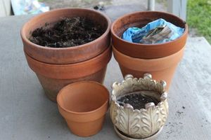 lot 52 image: Outdoor Pots