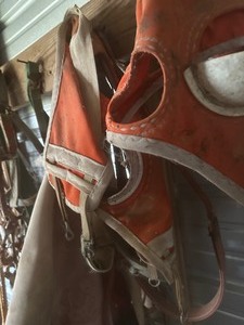 lot 393 image: HORSE TACK - BLINDER HOOD, HALTER,  BITS