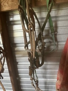 lot 392 image: HALTERS & BITS