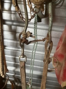 lot 391 image: LEAD ROPE  &  HORSE TACK