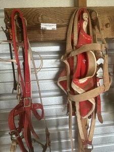 lot 385 image: HORSE HALTERS & BLINDER HOOD