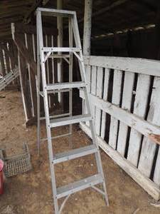 lot 420 image: LADDER 5 step- aluminum ladder