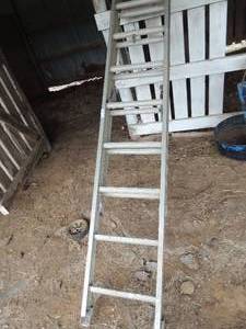 lot 407 image: extension ladder