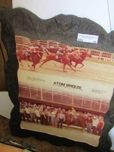 lot 19 image: Atom breeze horse photo