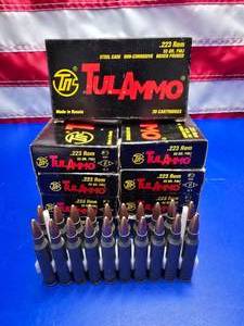 lot 73 image: Tul Ammo .223 55gr Ammo.  20 Rounds Per Box.  QUANTITY 9 BOXES.  BID IS TIMES THE QUANTITY