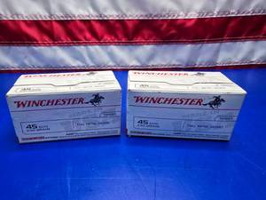 lot 178 image: Winchester .45 Auto 230gr Ammo.  100 Rounds Per Box.  QUANTITY 2 BOXES.  BID IS TIMES THE QUANTITY