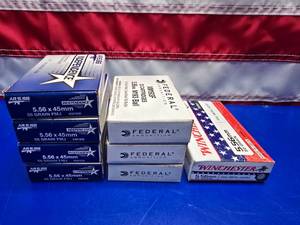 lot 236 image: 8 Boxes of 5.56 Ammo.  20 Rounds Per Box.  BID IS FOR ALL 8 BOXES