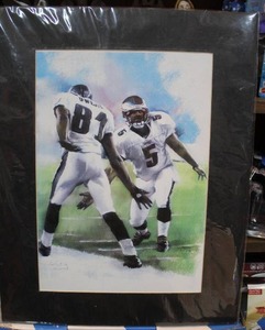 lot 308 image: Philadelphia eagles picture
