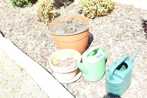 lot 132 image: Water cans and planters