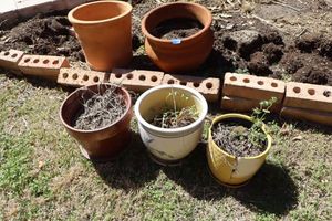 lot 99 image: Planter pots