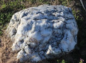 lot 189 image: Large Milky Quartz Rock HEAVY (WILL NEED DUG UP, BRING A SHOVEL AND HELP TO LIFT IT)