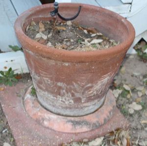 lot 198 image: Terracotta Pot