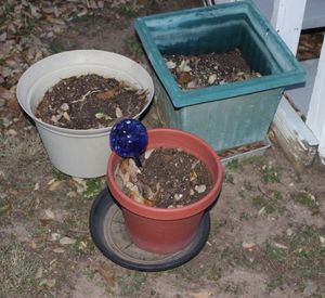 lot 201 image: Three Plastic Planters and Watering Globe