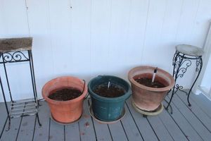 lot 333 image: Three Plastic, Terracotta Looking, Pots and Two Plant Stands (in Need of some TLC)