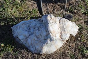 lot 13 image: Very Large Milky Quarts Boulder (Heavy Will need to be dug up some, bring a shovel and some muscle)