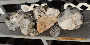 lot 192 image: Selection of Rocks from All over