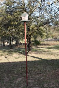 lot 21 image: Birdhouse on top of Tall Pole (Bring Tools and help to remove)