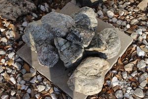 lot 193 image: Selection of Rocks from All over