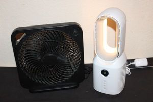lot 133 image: Two Fans