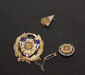 lot 135 image: Masonic and VFW Pins, All Marked 10K