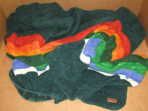 lot 41 image: Pendleton throw blanket