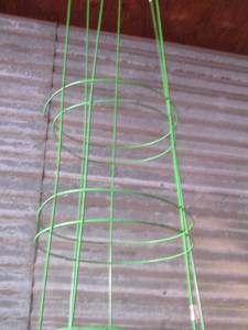 lot 68 image: 2 green tomatoes vines