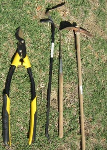 lot 29 image: hand held tree trimmers, crow bar, axe
