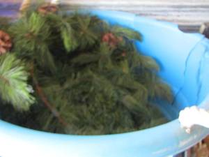 lot 160 image: Christmas greenery