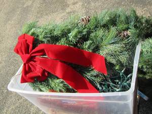 lot 186 image: Christmas greenery