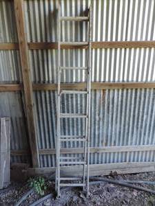 lot 43 image: Ladder