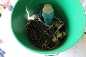 lot 190 image: 5 gallon bucket with random things in it chain ratchets and more