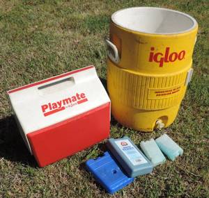 lot 123 image: Igloo coolers and ice packs