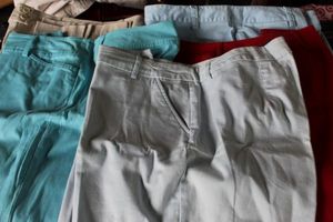 lot 364 image: Ladies Capris and Shorts, Venezia, Lane Bryant and Liz Clayborne, Size 14