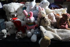 lot 371 image: Collection of Stuffed Animals