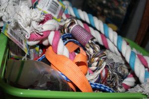 lot 91 image: Dog Toys, Collars and Leashes